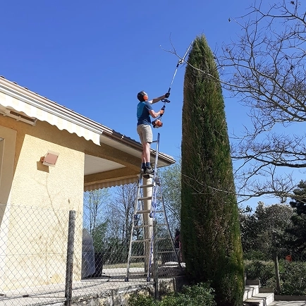 Green drop Green drop