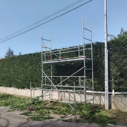 Green drop Green drop